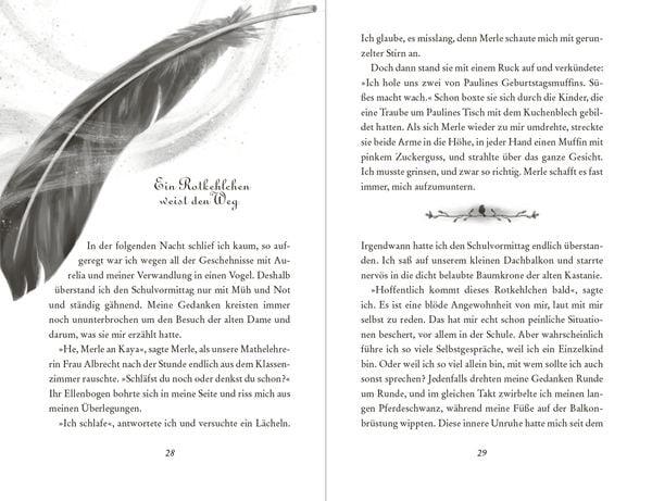 Produktbild: Kaya Silberflügel − Das Geheimnis der magischen Federn
