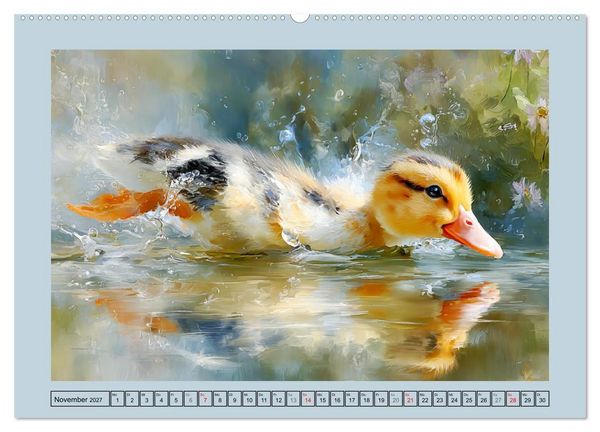 Produktbild: Zwergenten. Bezaubernde Schreih&auml;lse in der Natur (hochwertiger Premium Wandkalender 2027 DIN A2 quer), Kunstdruck in Hochglanz