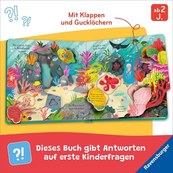 Produktbild: Auf Entdeckungstour: Im Meer