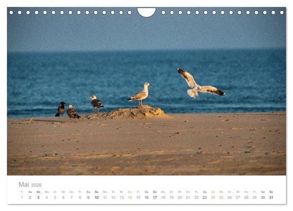 Produktbild: Traumziel D&auml;nemark (Wandkalender 2026 DIN A4 quer), CALVENDO Monatskalender