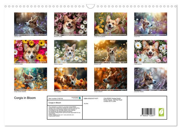 Produktbild: Corgis in Bloom (Wall Calendar 2026 DIN A3 landscape), CALVENDO 12 Month Wall Calendar