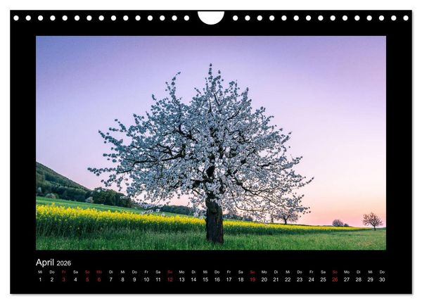 Produktbild: My Switzerland (Wandkalender 2026 DIN A4 quer), CALVENDO Monatskalender