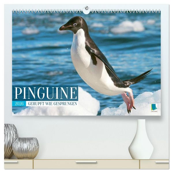 Pinguine: Gehupft wie gesprungen (hochwertiger Premium Wandkalender 2026 DIN A2 quer), Kunstdruck in Hochglanz