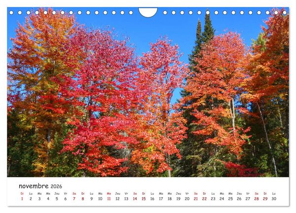 Produktbild: Automne haut en couleurs (Calendrier mural 2026 DIN A4 vertical), CALVENDO calendrier mensuel