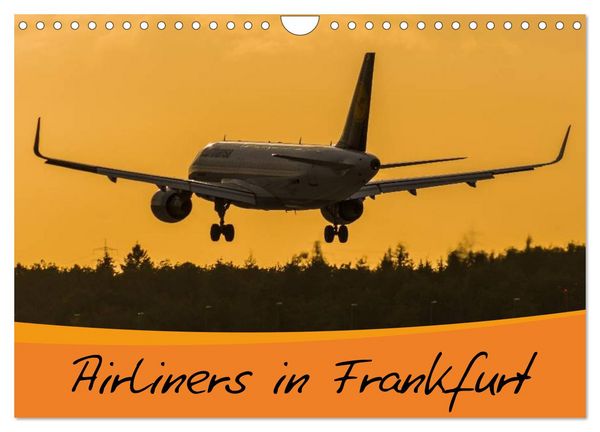 Airliners in Frankfurt (Wandkalender 2026 DIN A4 quer), CALVENDO Monatskalender