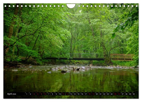 Produktbild: Wege des einfachen Gl&uuml;cks - Spazierg&auml;nge im Wald (Wandkalender 2026 DIN A4 quer), CALVENDO Monatskalender