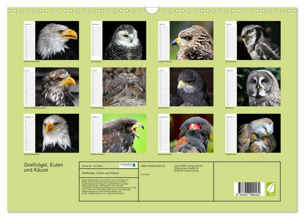 Produktbild: Greifv&ouml;gel, Eulen und K&auml;uze (Wandkalender 2026 DIN A3 quer), CALVENDO Monatskalender