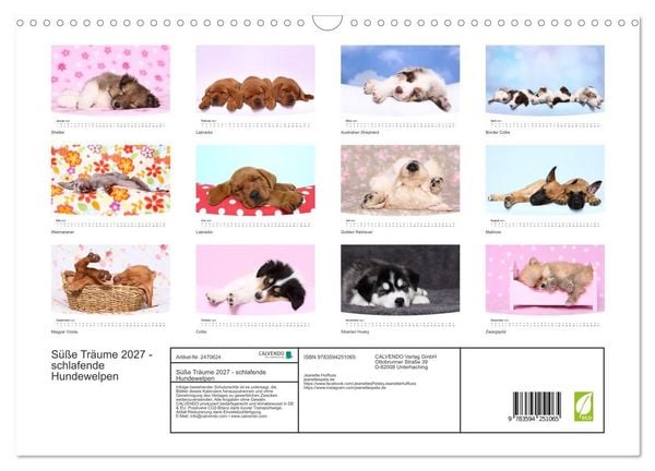 Produktbild: S&uuml;&szlig;e Tr&auml;ume 2027 - schlafende Hundewelpen (Wandkalender 2027 DIN A3 quer), CALVENDO Monatskalender