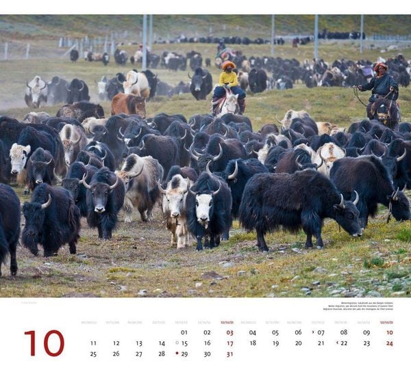 Produktbild: Tibet 2027