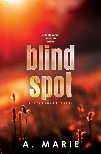 Produktbild: Blind Spot Discreet Cover