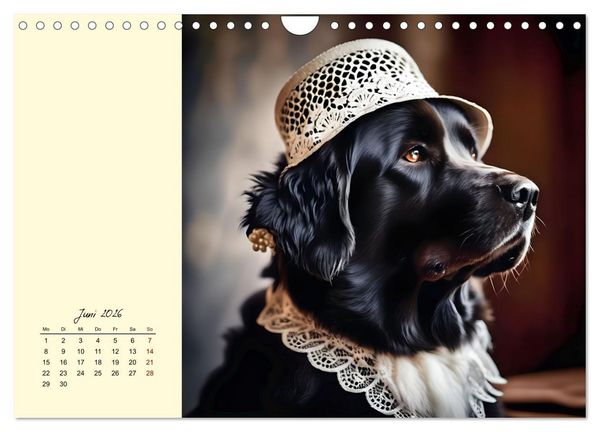 Produktbild: Gut beh&uuml;tete Hunde (Wandkalender 2026 DIN A4 quer), CALVENDO Monatskalender