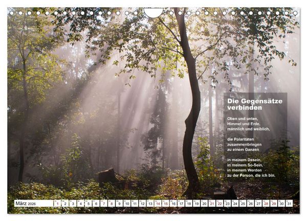 Produktbild: Stehen wie ein Baum (Wandkalender 2026 DIN A4 quer), CALVENDO Monatskalender