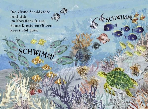 Produktbild: Kleine Schildkr&ouml;te und das blaue Meer