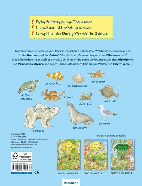 Mein erstes Wimmelbuch: Am Meer