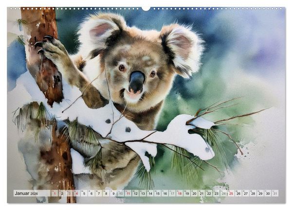 Produktbild: Koalas, liebenswerte kleine Schlafm&uuml;tzen (hochwertiger Premium Wandkalender 2026 DIN A2 quer), Kunstdruck in Hochglanz