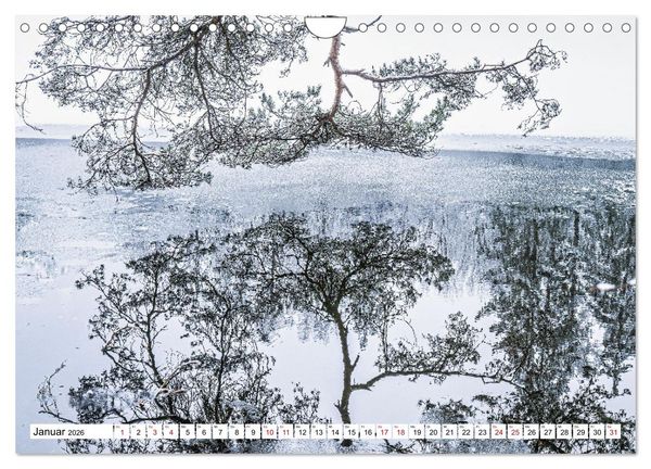 Produktbild: Magie gespiegelter Welten (Wandkalender 2026 DIN A4 quer), CALVENDO Monatskalender