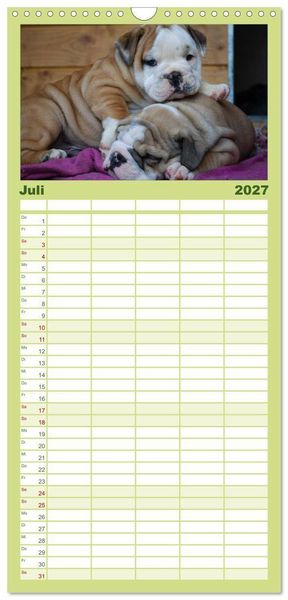 Produktbild: Familienplaner 2027 - Bulldoggen-Kinder mit 5 Spalten (Wandkalender, 21 x 45 cm) CALVENDO