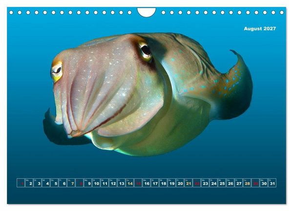 Produktbild: Unterwasser-Galerie (Wandkalender 2027 DIN A4 quer), CALVENDO Monatskalender
