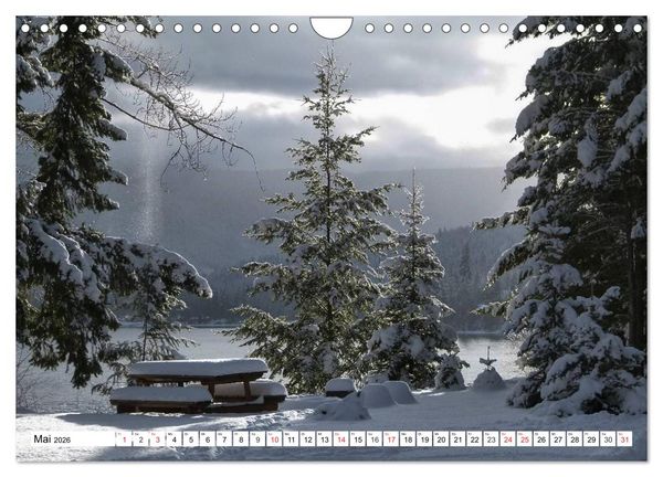 Produktbild: Winterm&auml;rchen Landschaften im Schnee (Wandkalender 2026 DIN A4 quer), CALVENDO Monatskalender