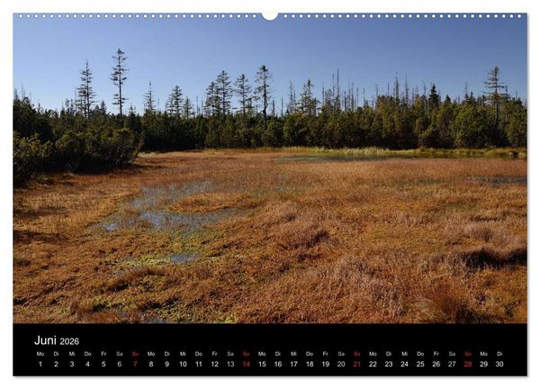 Produktbild: Zauberhafter Bayerischer Wald (Wandkalender 2026 DIN A2 quer), CALVENDO Monatskalender