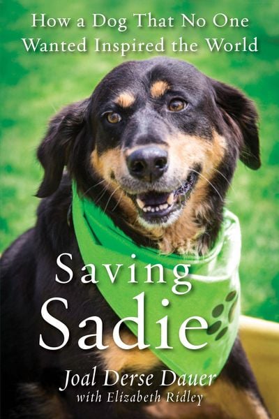 Produktbild: Saving Sadie