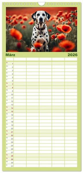 Produktbild: Familienplaner 2026 - Dalmatiner - freundliche Temperamentsbolzen mit 5 Spalten (Wandkalender, 21 x 45 cm) CALVENDO