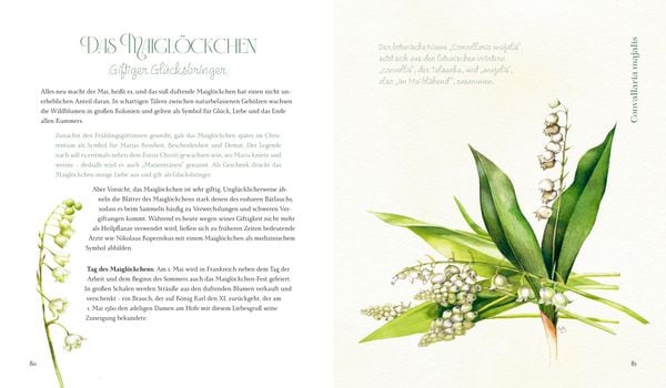 Produktbild: Inspirationen: Vom Zauber der Blumen - M. Bastin