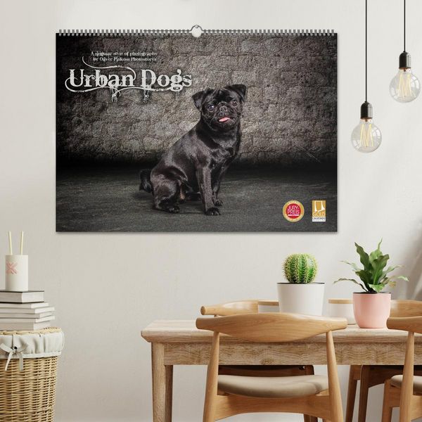 Produktbild: Urban Dogs - Hundekalender der anderen Art (Wandkalender 2026 DIN A2 quer), CALVENDO Monatskalender