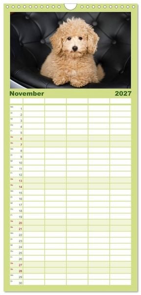Produktbild: Familienplaner 2027 - Pudel mit 5 Spalten (Wandkalender, 21 x 45 cm) CALVENDO