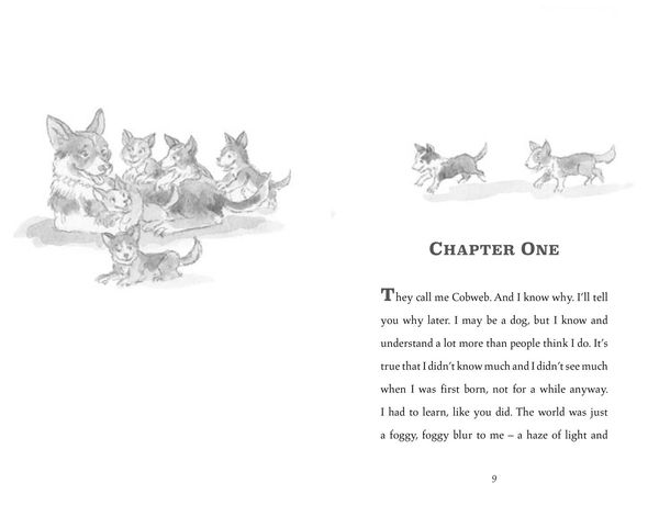 Produktbild: Morpurgo, M: Cobweb