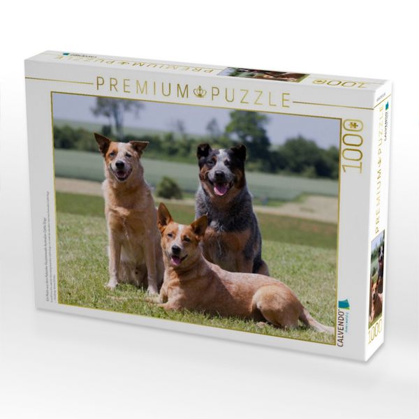 Produktbild: CALVENDO Puzzle Ein Motiv aus dem Kalender Faszinierende Australian Cattle Dogs | 1000 Teile Lege-Gr&ouml;&szlig;e 64x48cm Foto-Puzzle f&uuml;r gl&uuml;ckliche Stunden