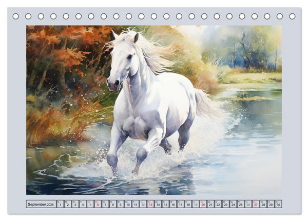 Produktbild: Anmutige Schimmel. &Auml;sthetik wei&szlig;er Aquarell-Pferde (Tischkalender 2026 DIN A5 quer), CALVENDO Monatskalender
