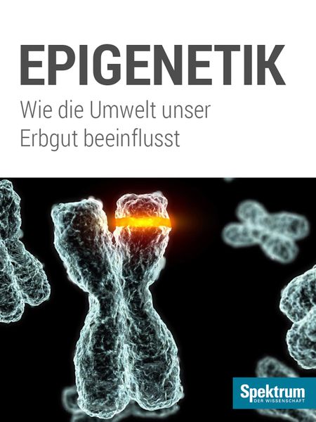 Produktbild: Spektrum Kompakt - Epigenetik