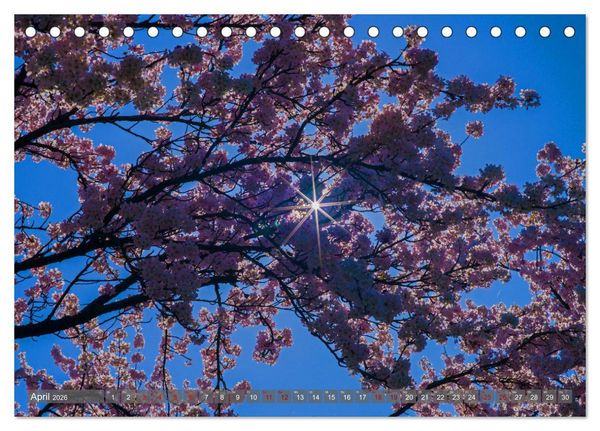 Produktbild: Weinland Pfalz - Region S&uuml;dliche Weinstra&szlig;e (Tischkalender 2026 DIN A5 quer), CALVENDO Monatskalender