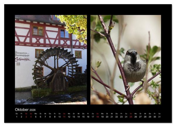 Produktbild: Ulmer Spatzen (Wandkalender 2026 DIN A2 quer), CALVENDO Monatskalender