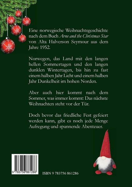 Produktbild: Arne und der Weihnachtsstern