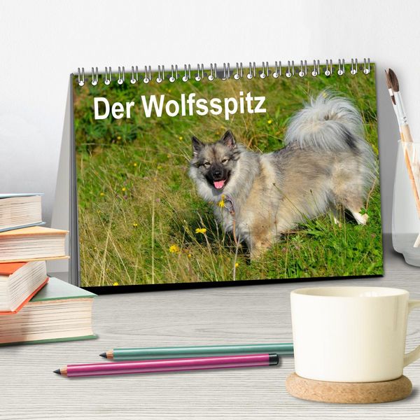 Produktbild: Der Wolfsspitz (Tischkalender 2026 DIN A5 quer), CALVENDO Monatskalender