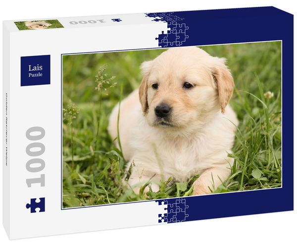 Produktbild: Lais Puzzle Golden Retriever Welpe 1000 Teile