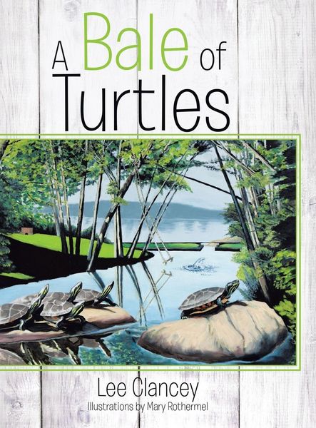 Produktbild: A Bale of Turtles