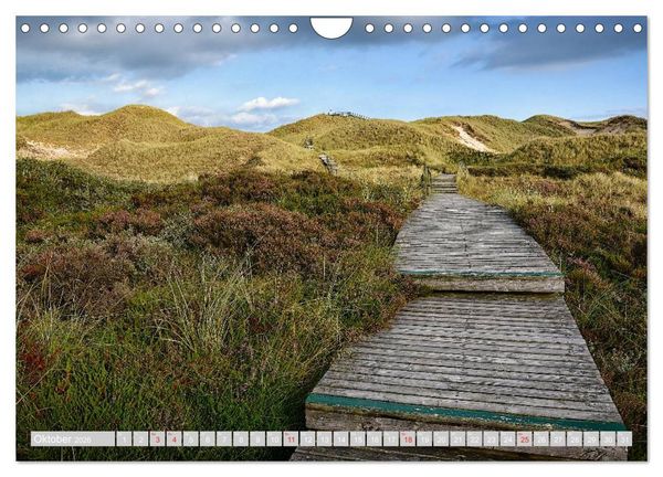Produktbild: Amrum, die Perle in der Nordsee (Wandkalender 2026 DIN A4 quer), CALVENDO Monatskalender