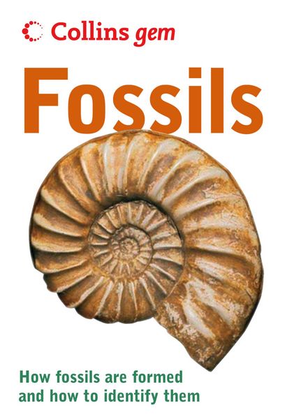 Produktbild: Fossils