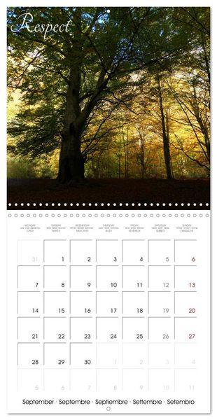 Produktbild: Relaxing Nature (Wall Calendar 2026 12 &times; 12 Inch) CALVENDO 12 Month Wall Calendar