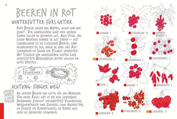 Produktbild: Ich sehe was, was ich nicht kenn&acute;