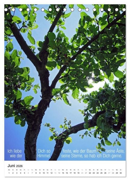 Produktbild: Licht Farbe Natur (Tischkalender 2026 DIN A5 hoch), CALVENDO Monatskalender