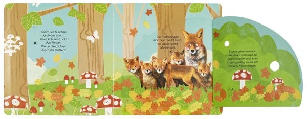 Produktbild: Wo verstecken sich die Tiere im Wald?