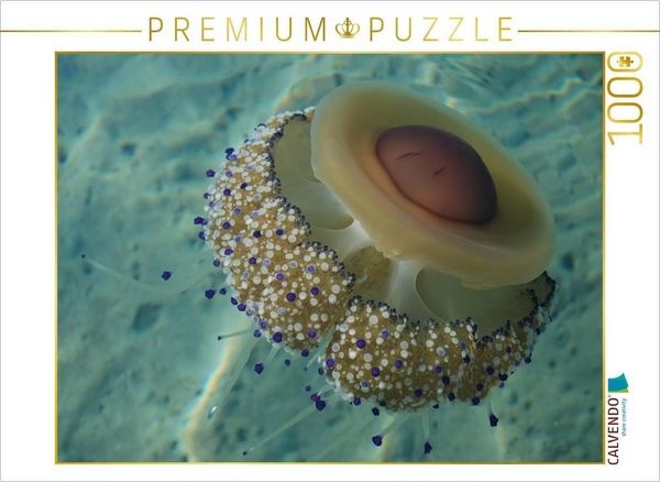 Produktbild: CALVENDO Puzzle Ein Motiv aus dem Kalender Quallen. Die Welt der Medusen | 1000 Teile Lege-Gr&ouml;&szlig;e 64x48cm Foto-Puzzle f&uuml;r gl&uuml;ckliche Stunden