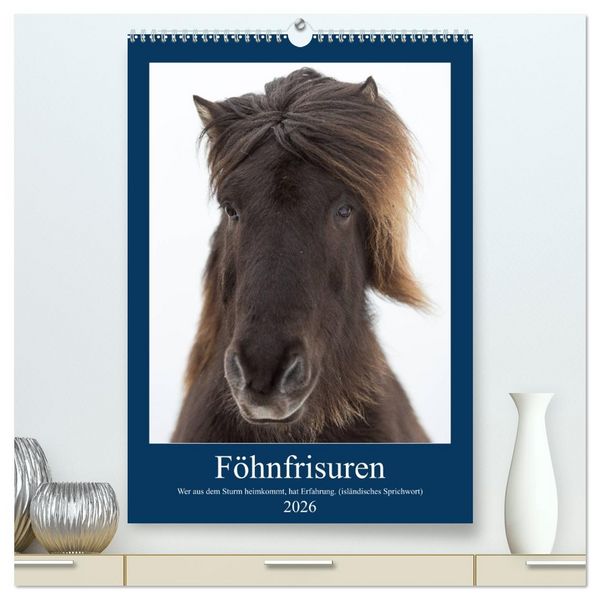 Föhnfrisuren (hochwertiger Premium Wandkalender 2026 DIN A2 hoch), Kunstdruck in Hochglanz