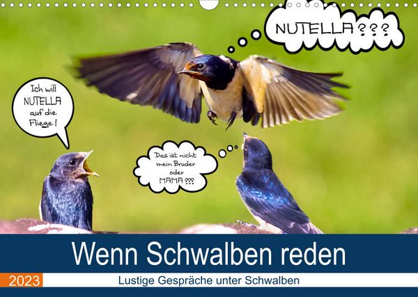 Wenn Schwalben reden (Wandkalender 2023 DIN A3 quer)