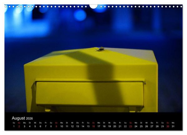 Produktbild: Kleine B&auml;nderschnecke ganz gro&szlig; - Gem&uuml;tlich durch das neue Jahr (Wandkalender 2026 DIN A3 quer), CALVENDO Monatskalender