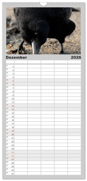 Produktbild: Familienplaner 2026 - Rabenschwarze Impressionen - meike-ajo-dettlaff.de via wildvogelhlfe.org mit 5 Spalten (Wandkalender, 21 x 45 cm) CALVENDO